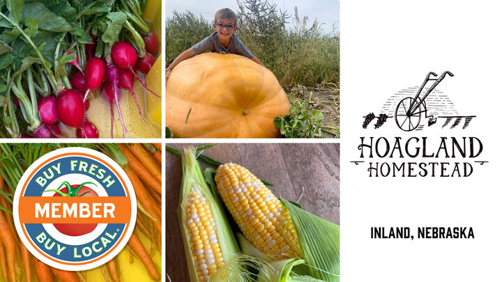 Spotlight photo for Hoagland Homestead showing radishes, carrots, corn, and pumpkins from their farm