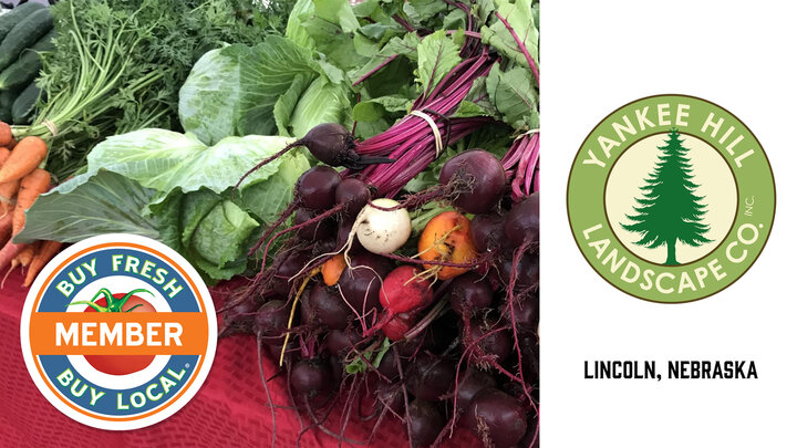 Yankee Hill Landscape spotlight image showing a variety of fresh grown vegetables